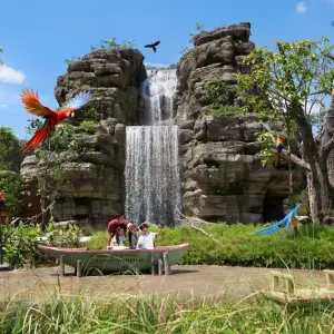 Bird Paradise + Tram Ride tickets Singapore | Golden Top Travel