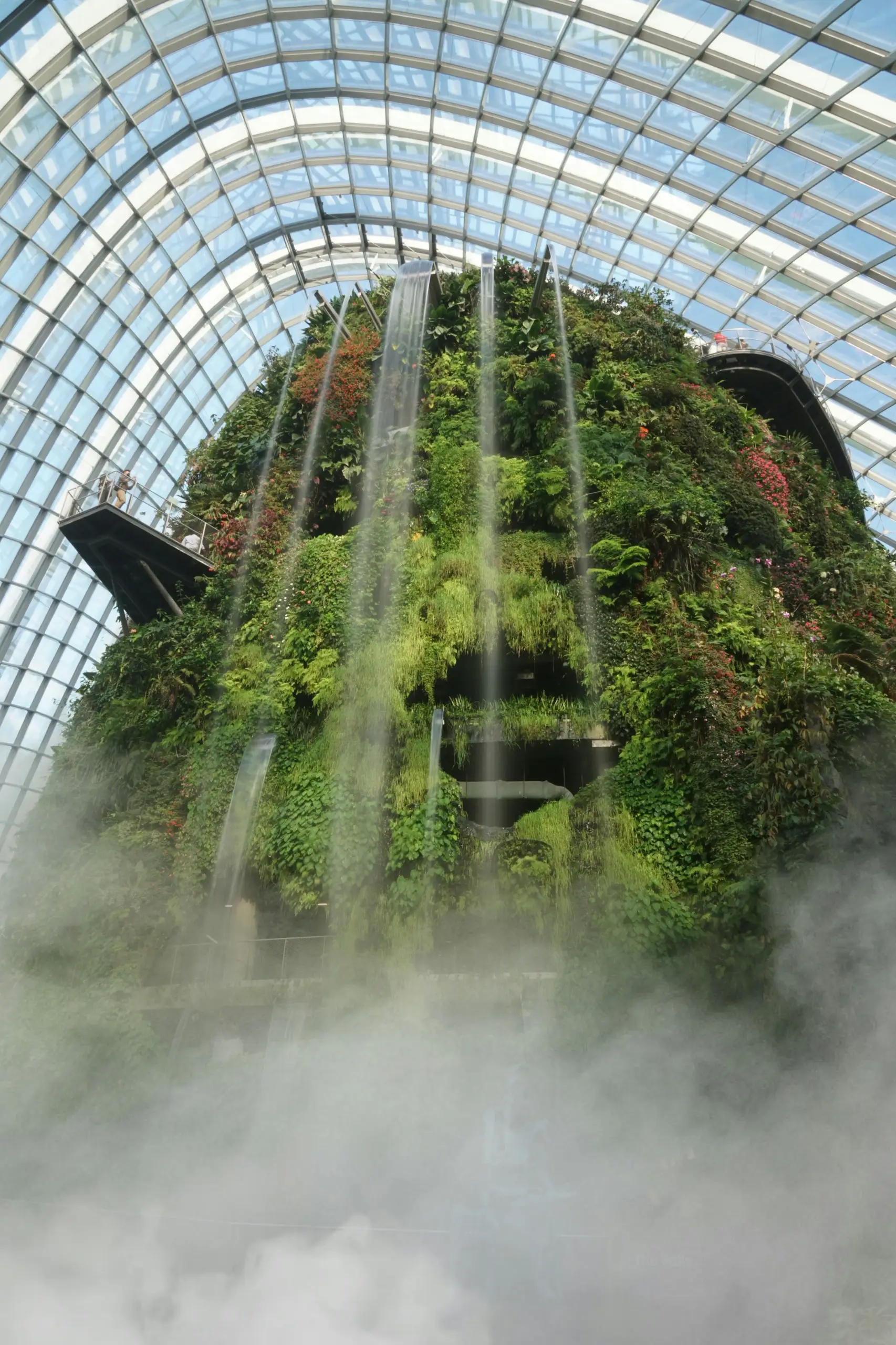 Gardens by the Bay (Flower Dome + Cloud Forest) tickets Singapore - Golden Top Travel