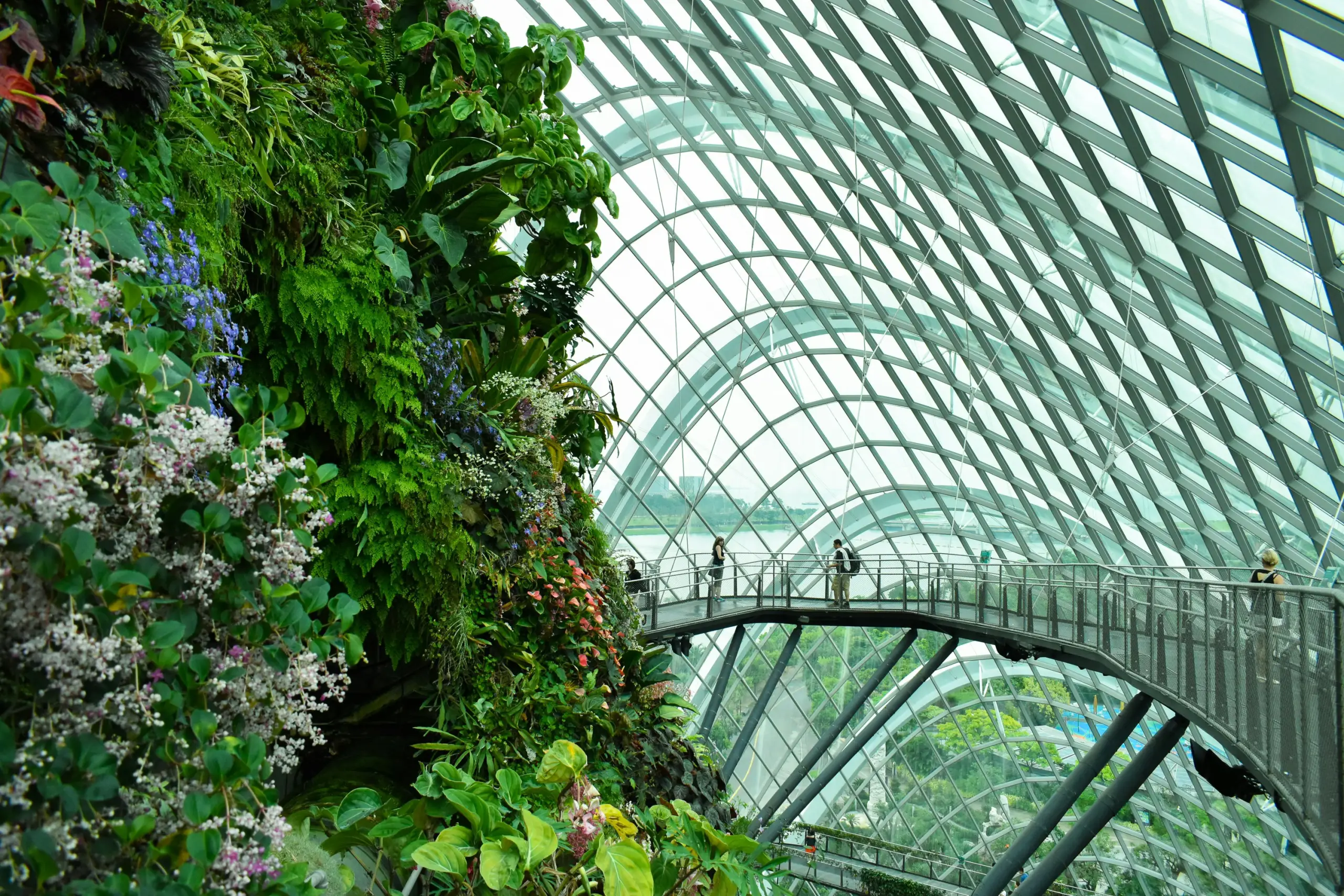 Gardens by the Bay (Flower Dome + Cloud Forest) tickets Singapore - Golden Top Travel
