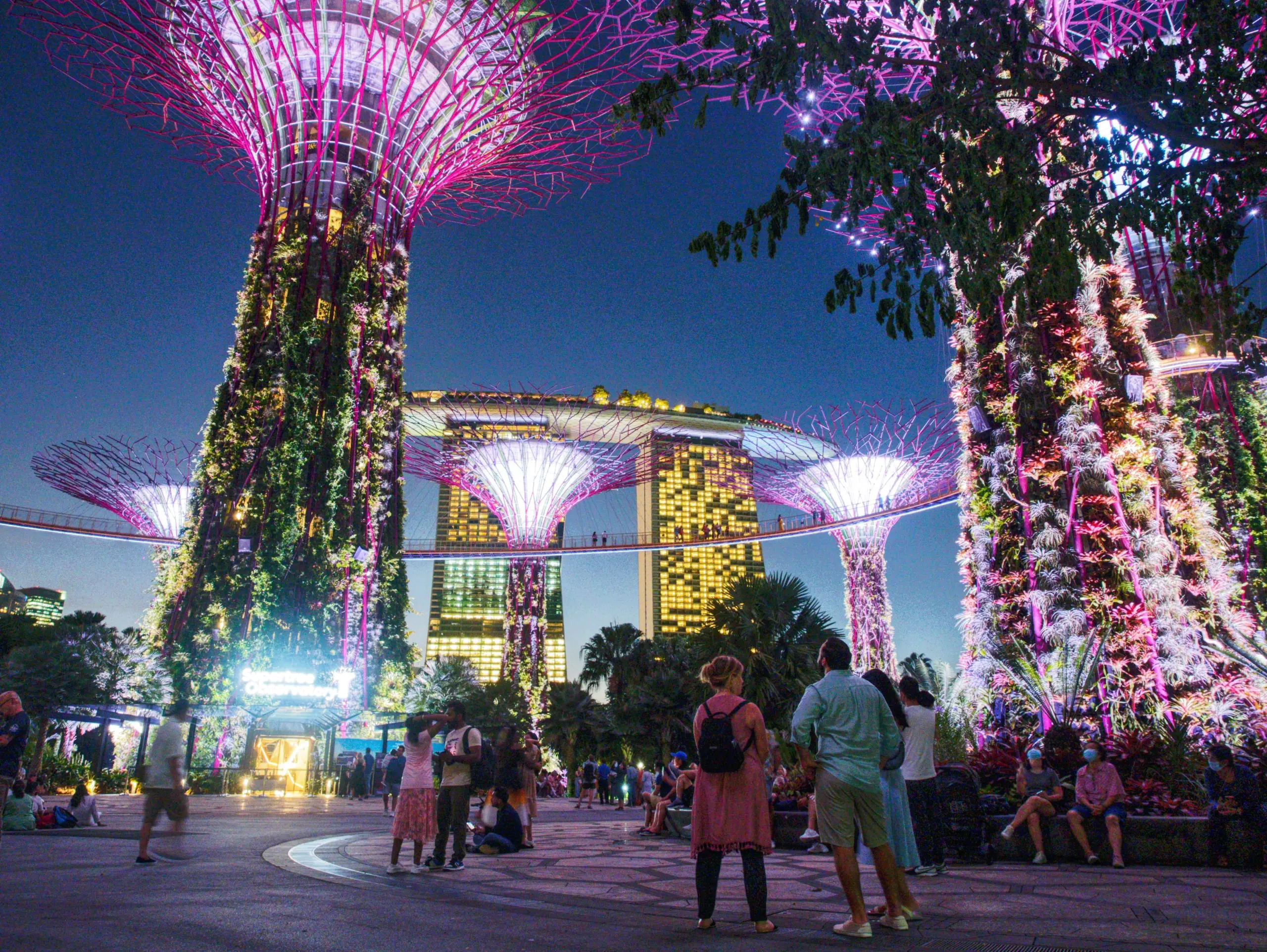 Gardens by the Bay (Flower Dome + Cloud Forest) tickets Singapore - Golden Top Travel