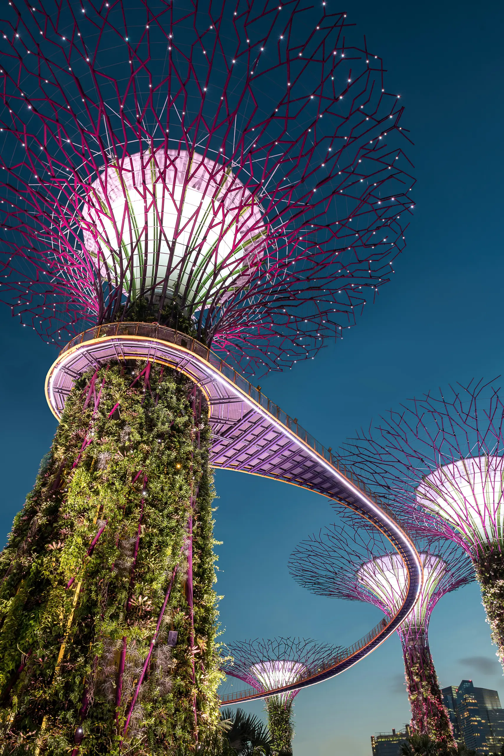 Gardens by the Bay (Flower Dome + Cloud Forest) tickets Singapore - Golden Top Travel