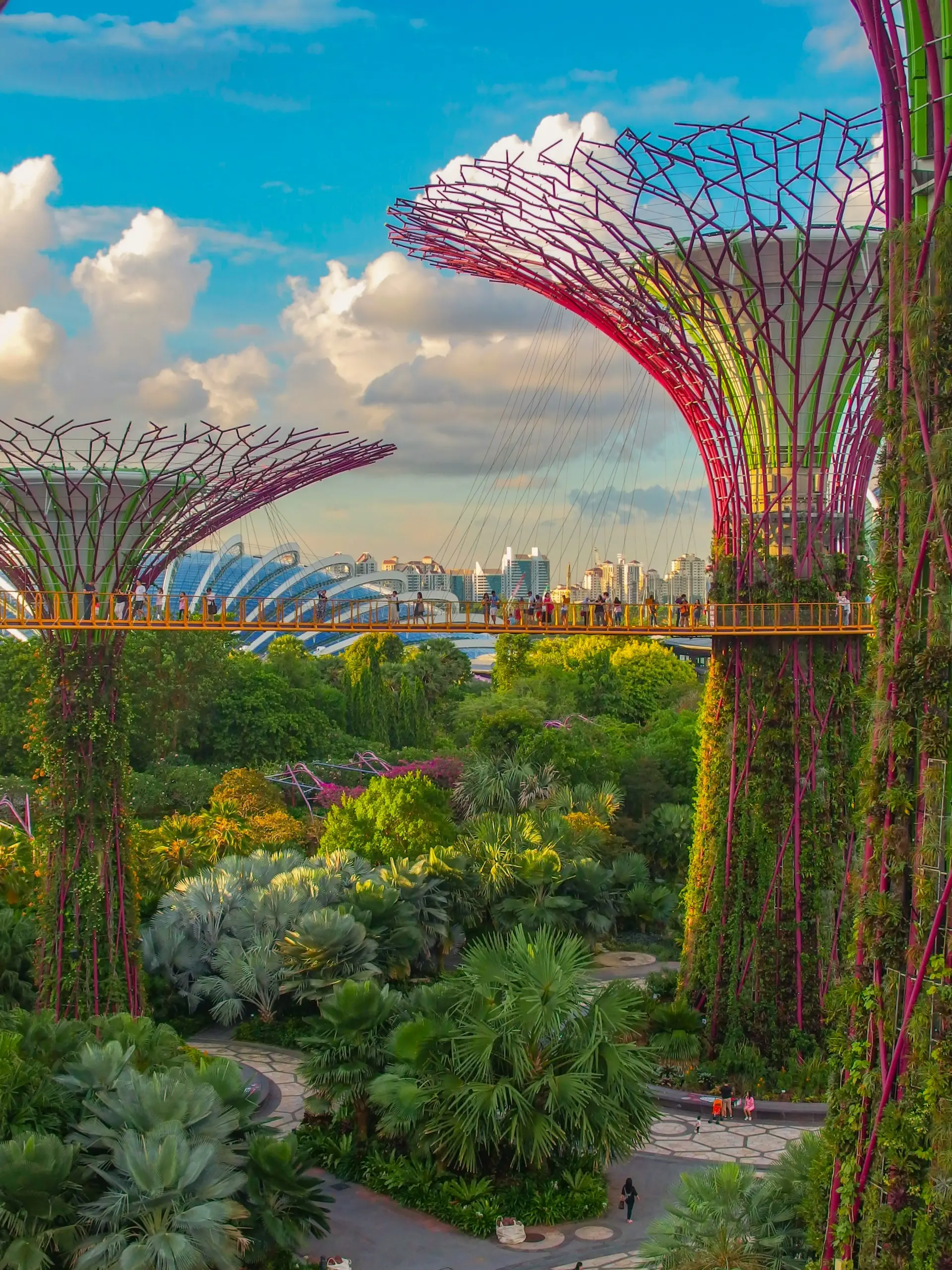 Gardens by the Bay (Flower Dome + Cloud Forest) tickets Singapore - Golden Top Travel