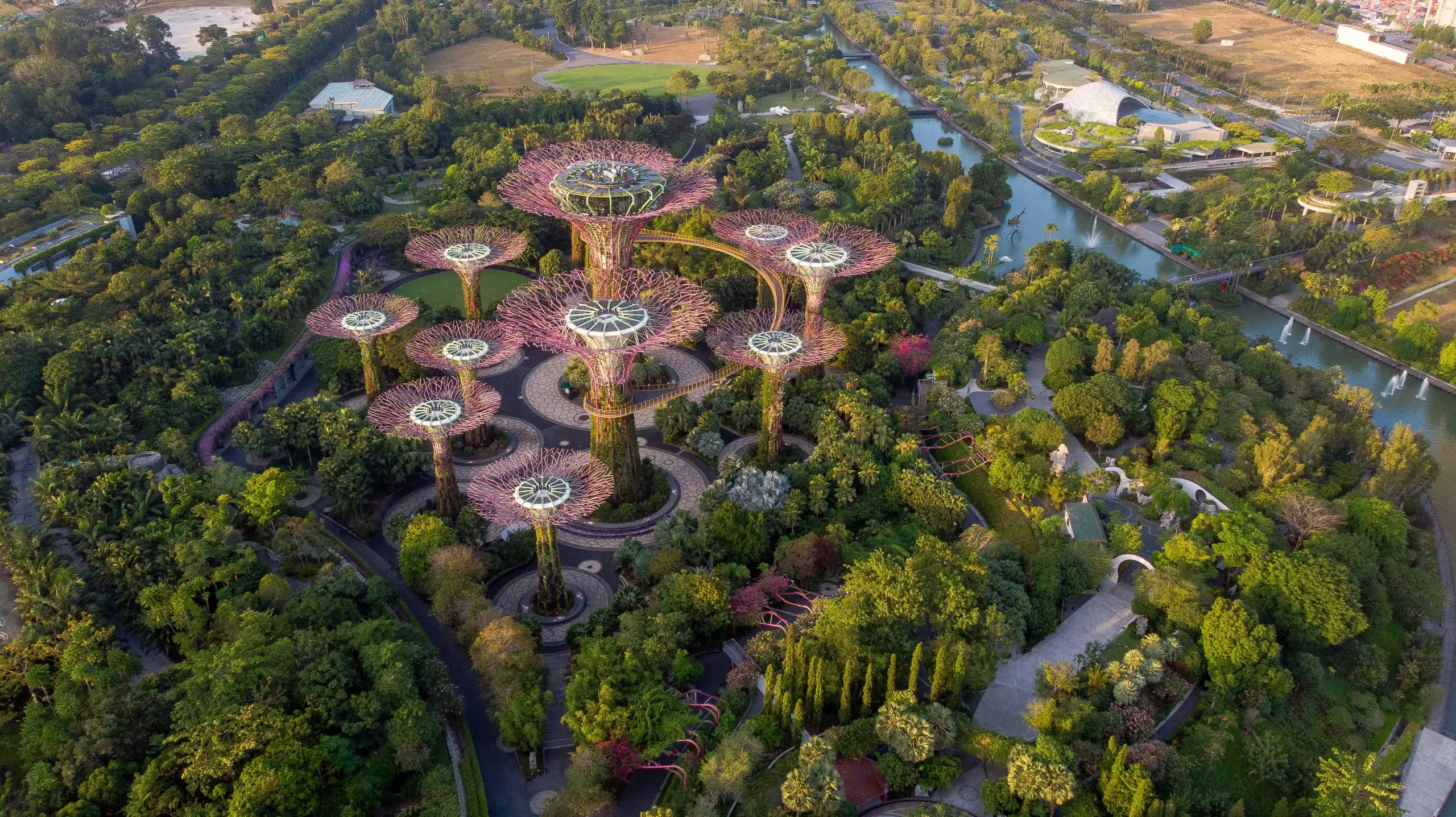 Gardens by the Bay Tickets Singapore (Flower Dome + Cloud Forest) | With Optional Transport - Image 6