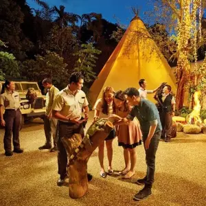 Night Safari + Tram Ride tickets Singapore | Golden Top Travel