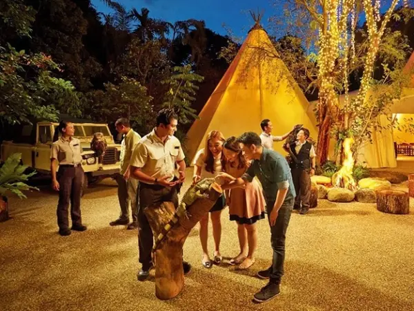 Night Safari + Tram Ride tickets Singapore | Golden Top Travel
