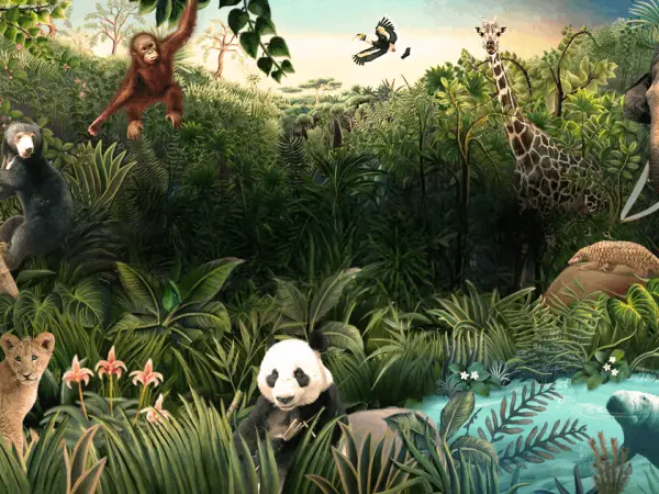 Singapore Zoo + Tram Ride tickets Singapore | Golden Top Travel